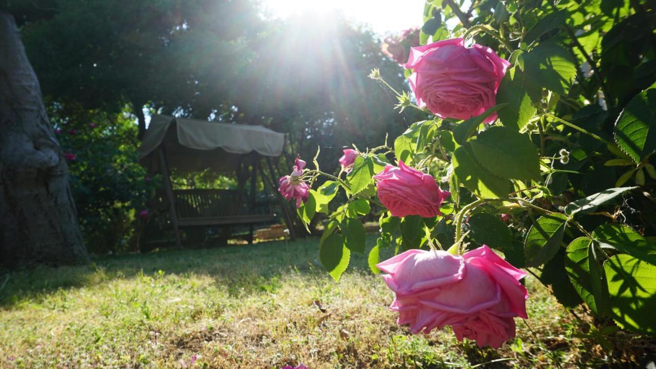 Kavet Palio Cottage PalaiónTsiflíkion Exteriör bild
