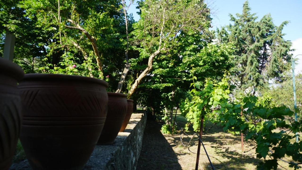Kavet Palio Cottage PalaiónTsiflíkion Exteriör bild